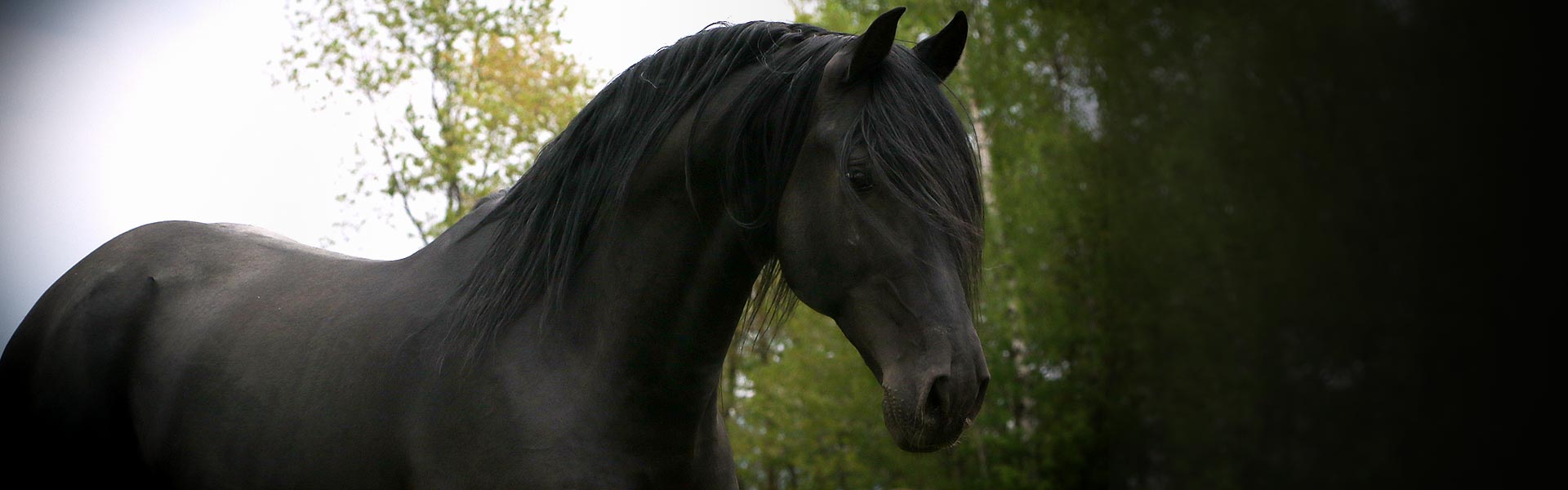 garmin edge 820 price