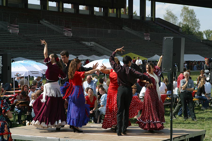Andalusier Lusitanos Yeguada Tag des iberischen Pferdes 11 2003 Flamenco