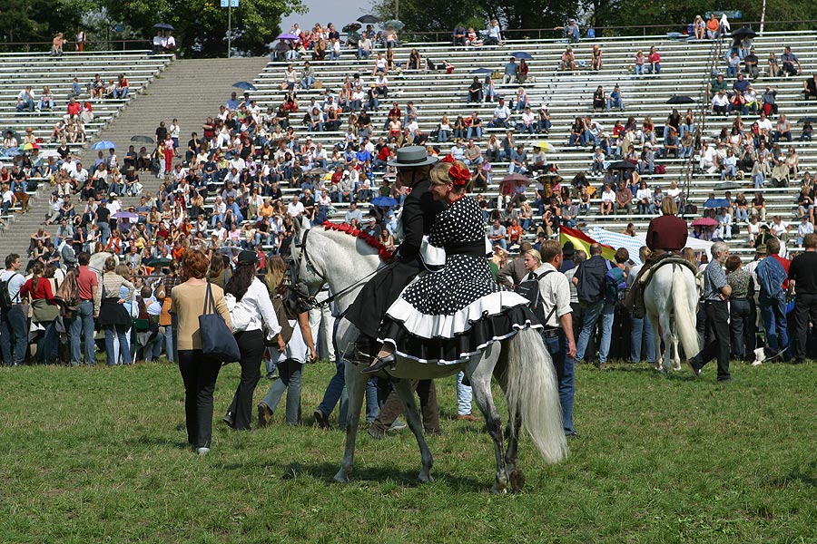 Andalusier Lusitanos Yeguada Tag des iberischen Pferdes 9 2004